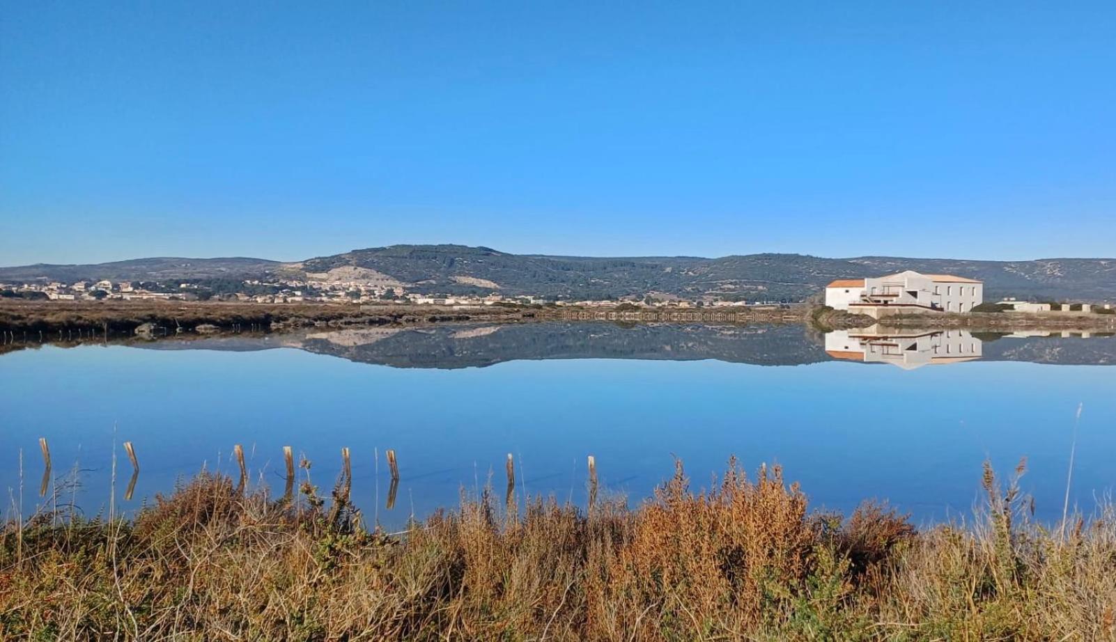 Le Nautica Plage T2 en bord de mer Frontignan Exterior foto